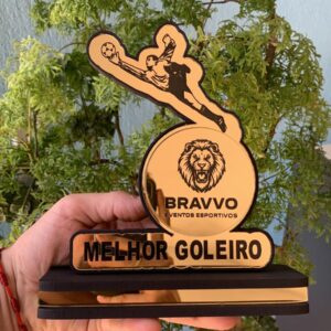 Troféu personalizado 3D com acrílico espelhado