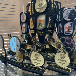 Troféu personalizado 3D com acrílico espelhado